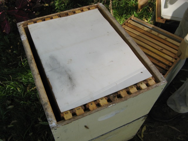 Hive mat between the 2 supers to keep the hive warm in winter